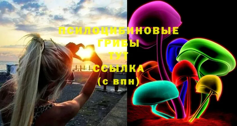 Псилоцибиновые грибы Psilocybe  ссылка на мегу   Андреаполь  что такое  